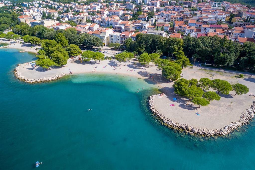  Ruža