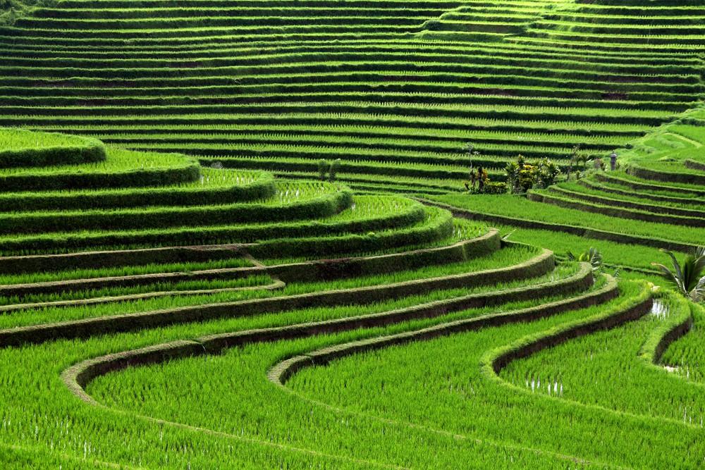 Jáva, Bali (Komfort)