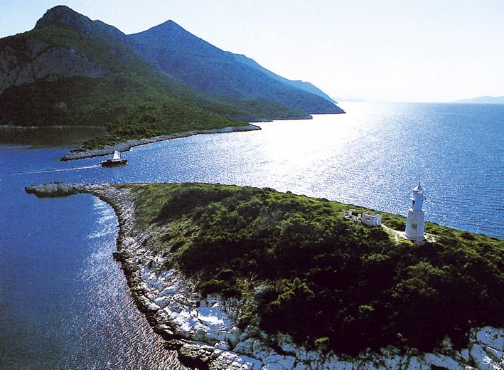 Tomič