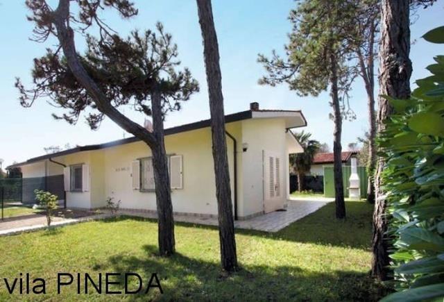 Pineda