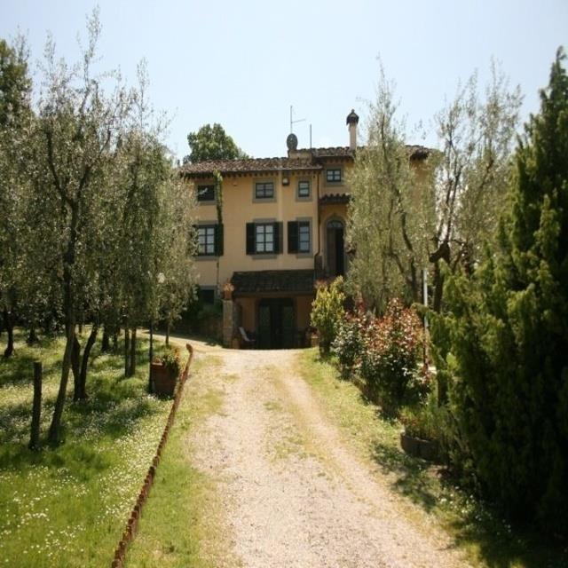 Degli Olivi