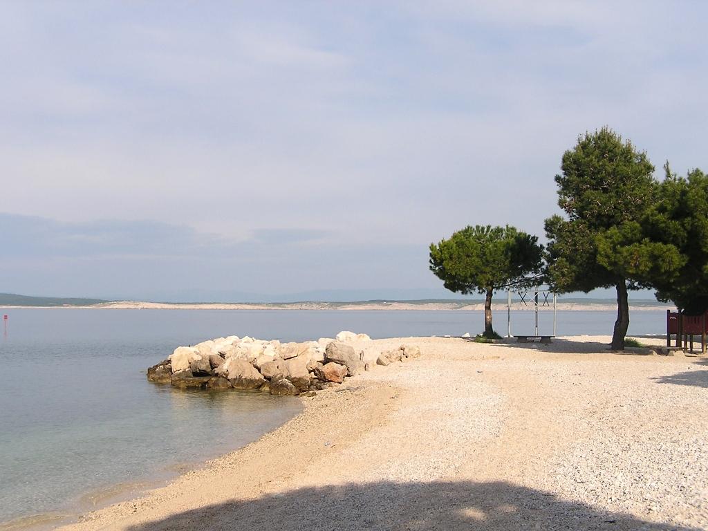 Andjelka