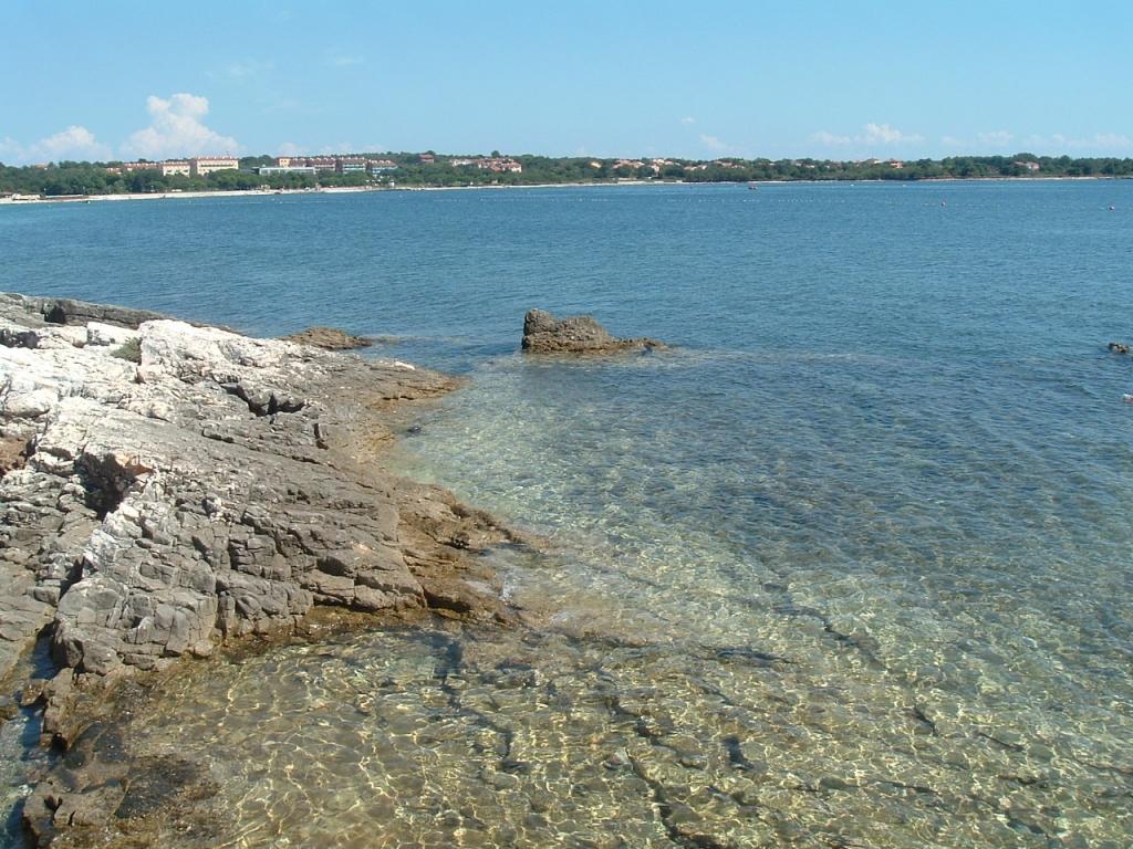 Grakalič