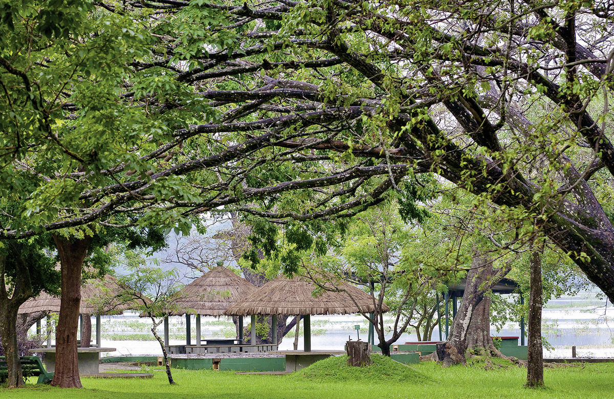 Habarana Village by Cinnamon 