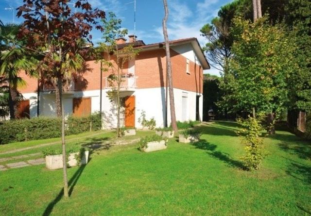 Schiera
