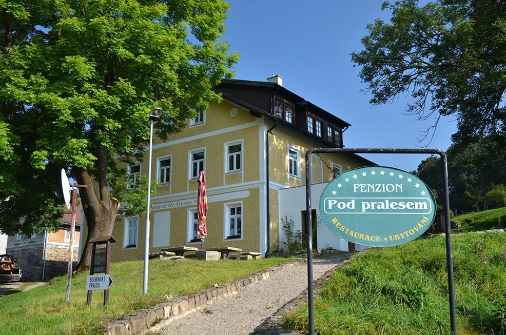 Pod Pralesem