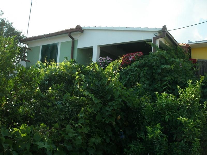 Valkanela