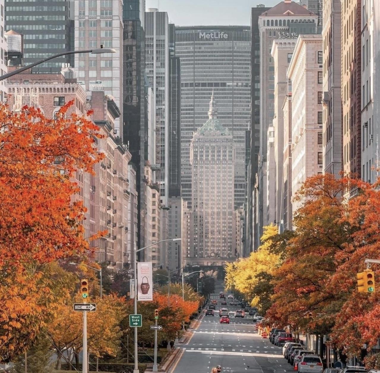 Předvánoční New York