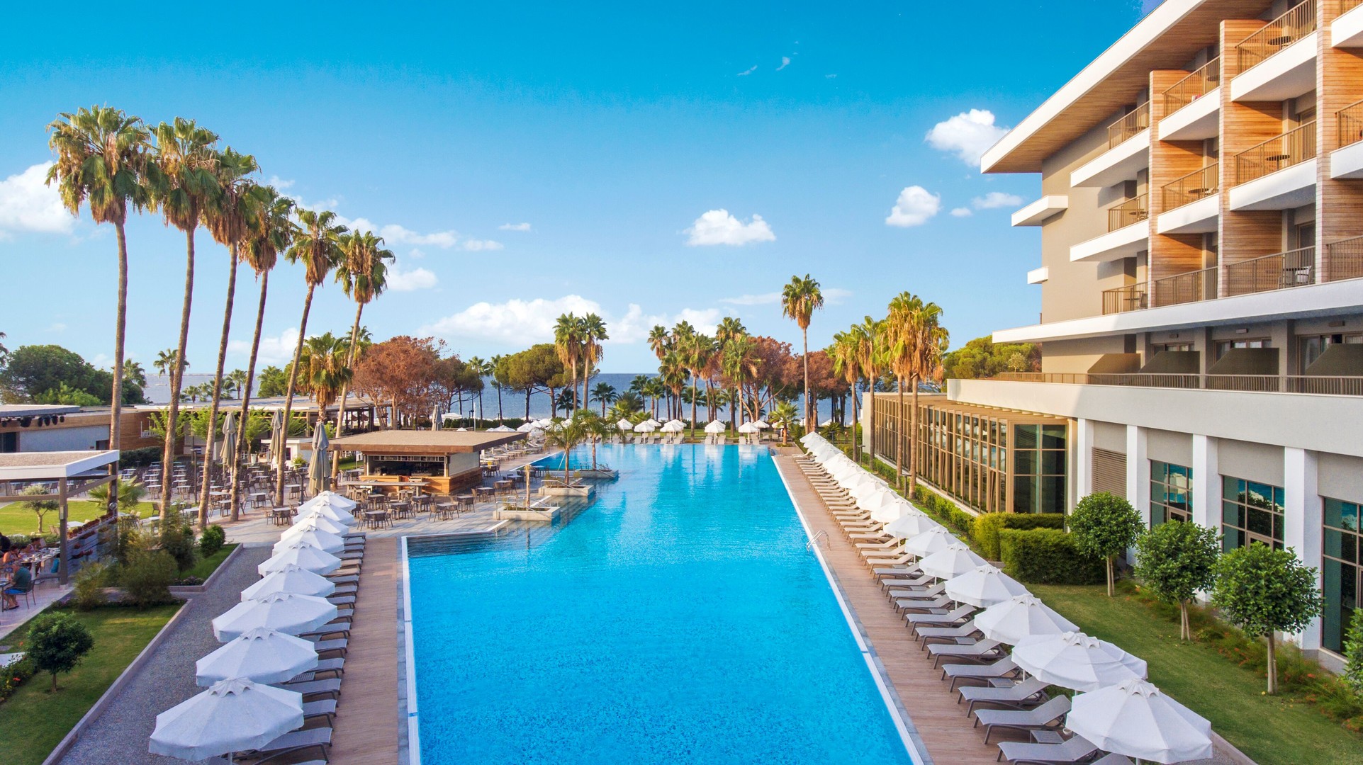 Acanthus And Cennet Barut Collection