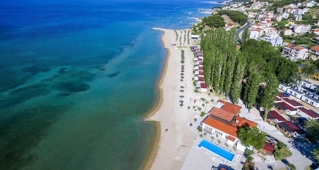 Galeb