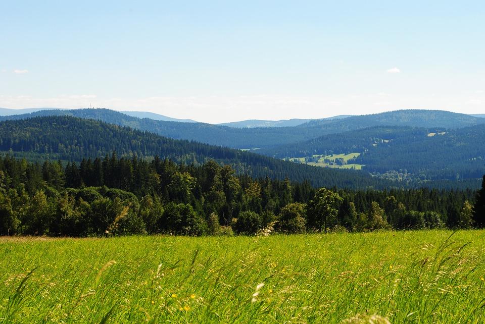 Šumava
