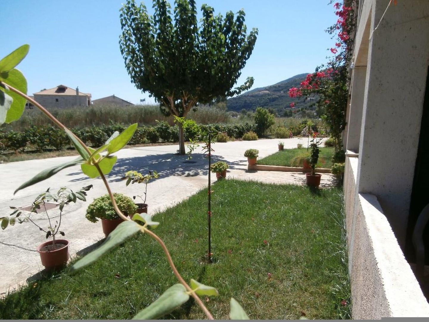 Pension Porto Tsi Ostrias