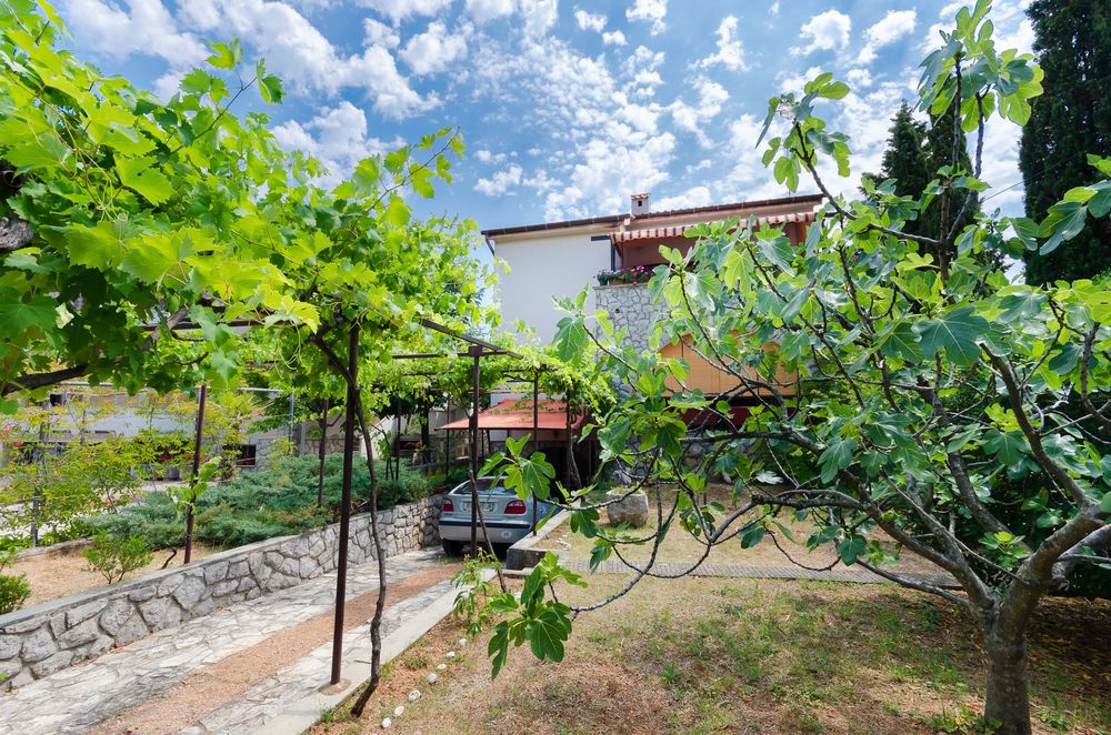 Apartmány 1355-2061