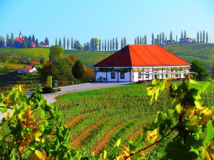 Ze slovinského Toskánska k vinicím u Jadranu i smaragdové Soče