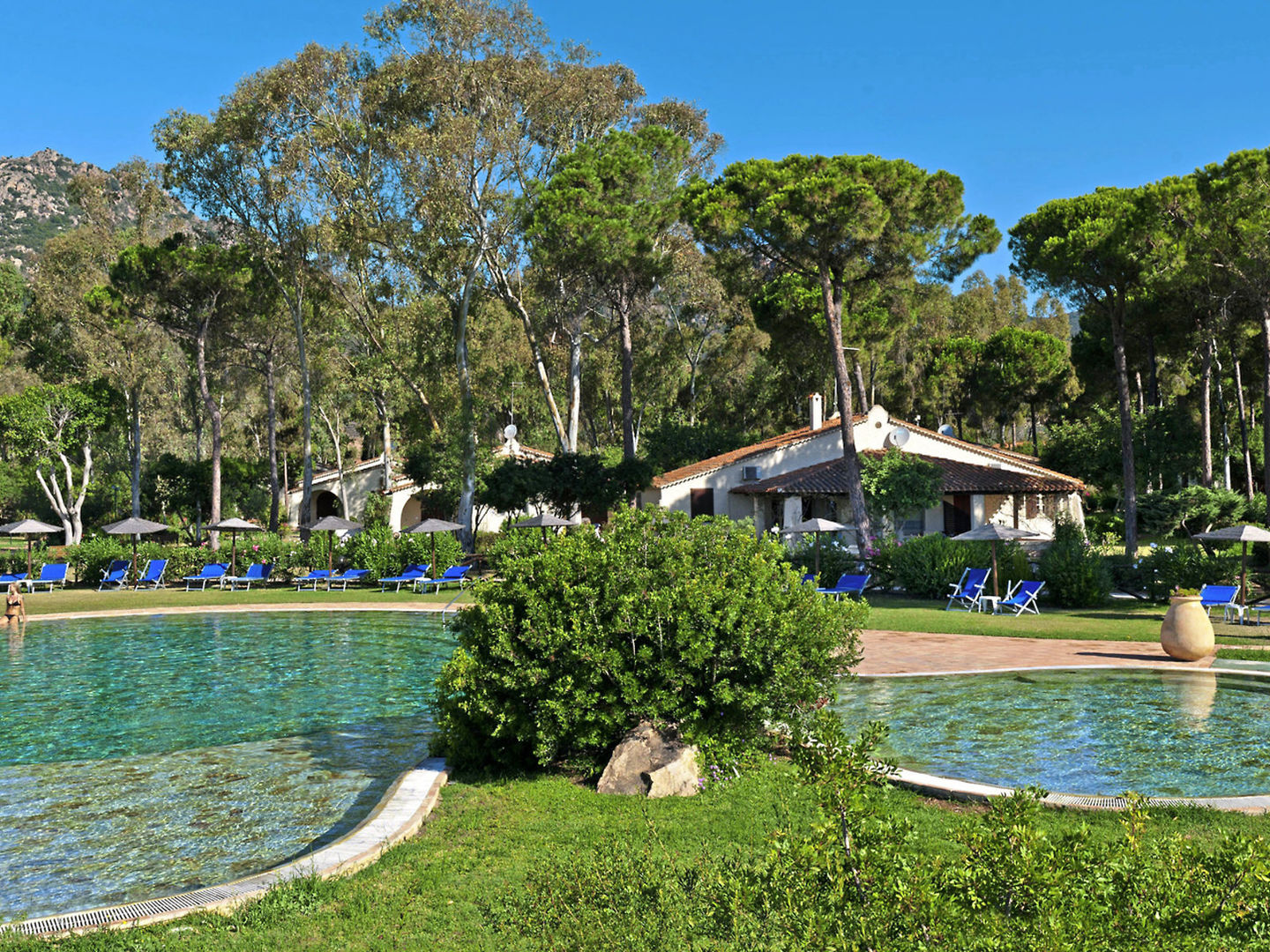 Is Morus Relais