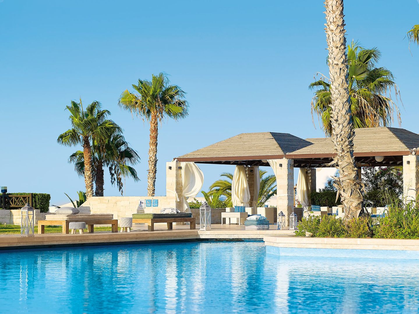 Aldemar Royal Mare