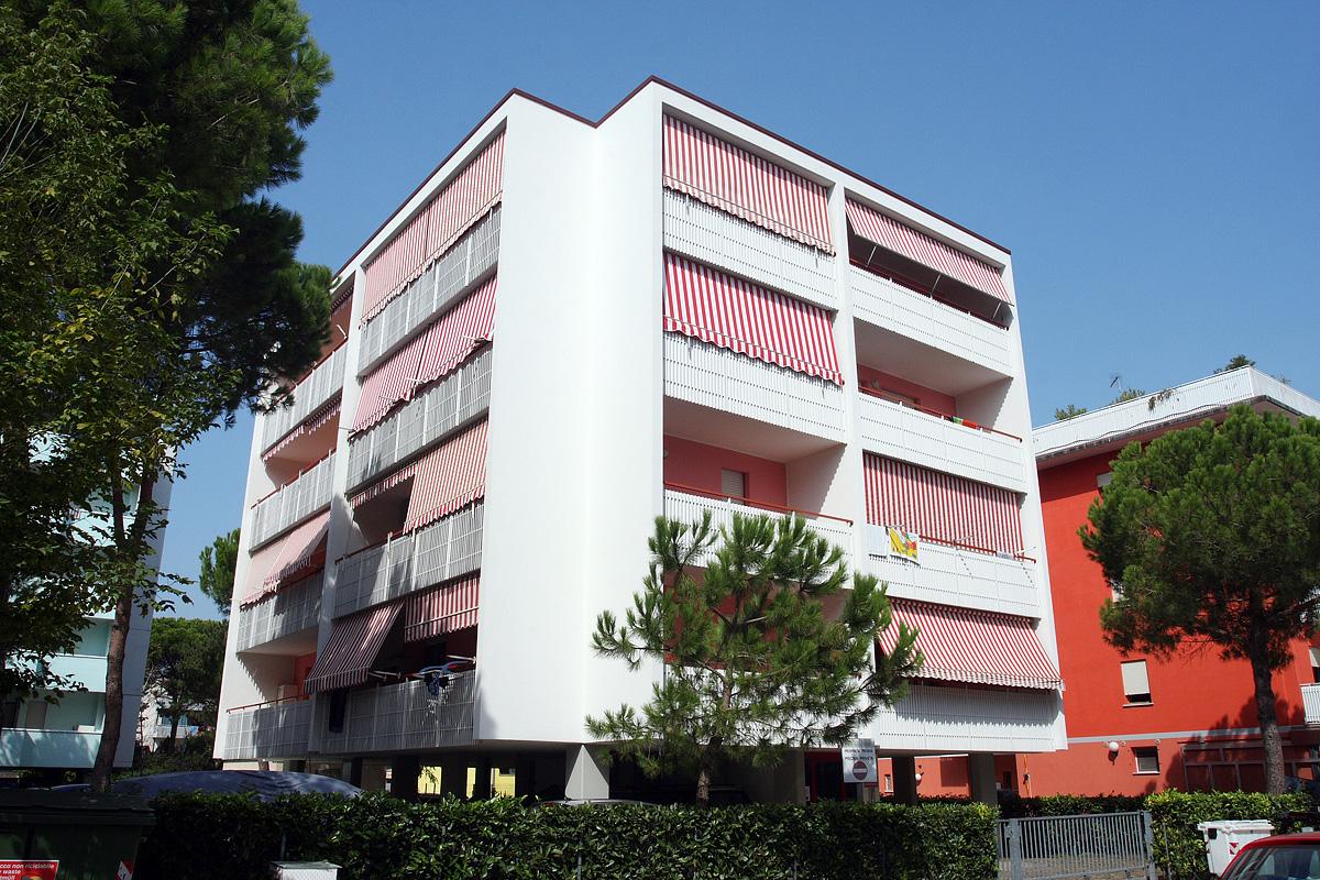 Gabbiano Spiaggia