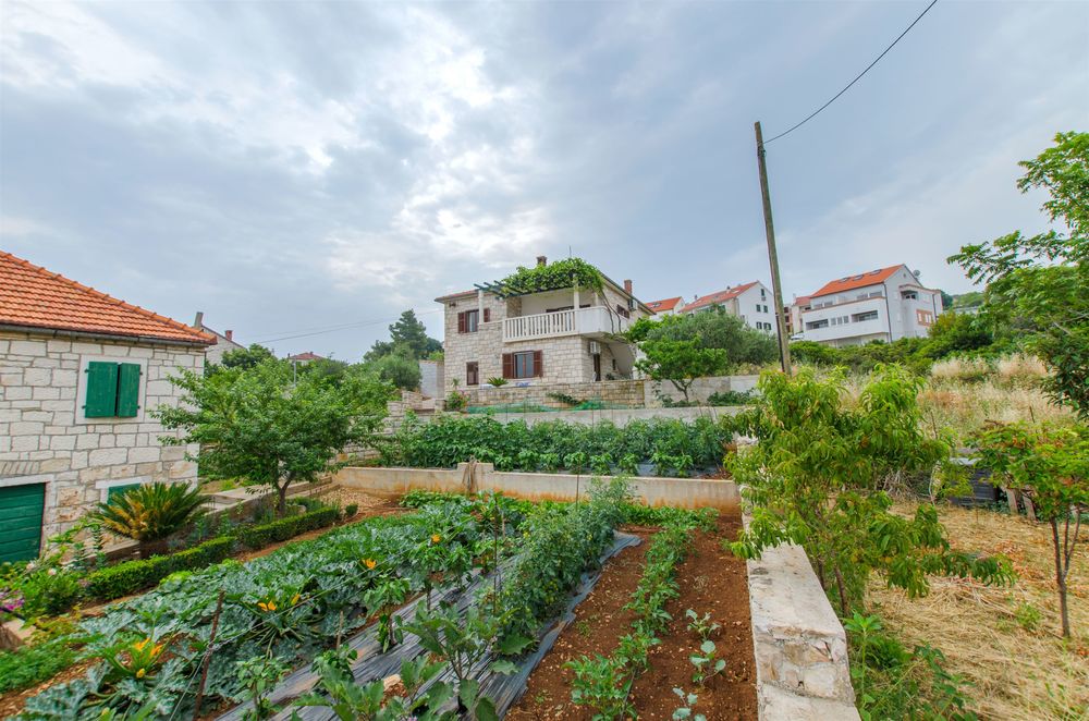Apartmány 1355-1441