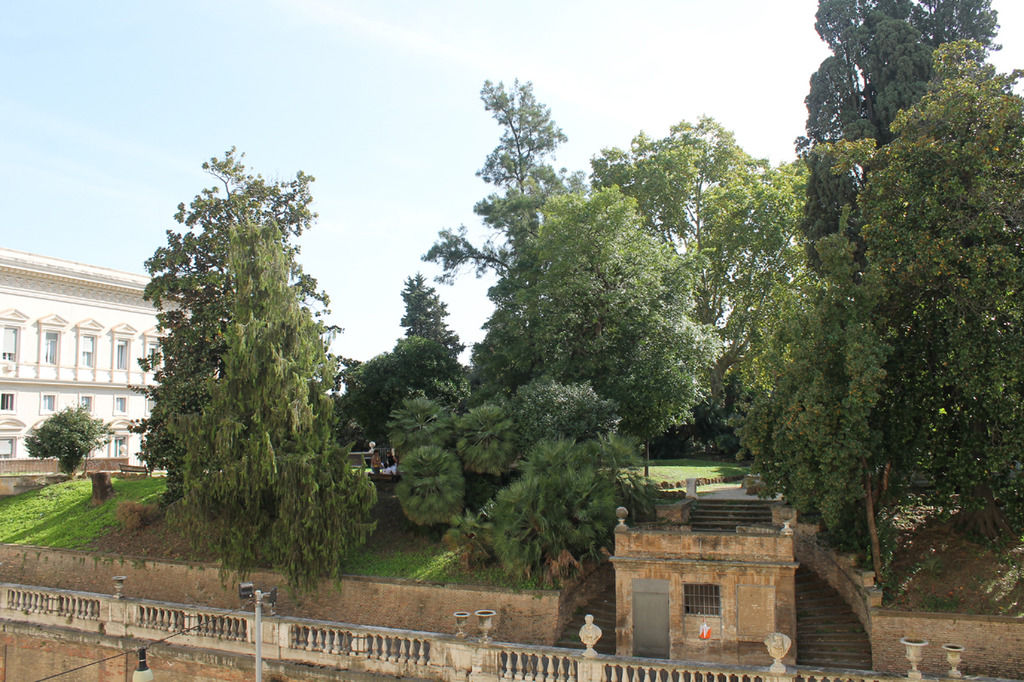 Fiori 