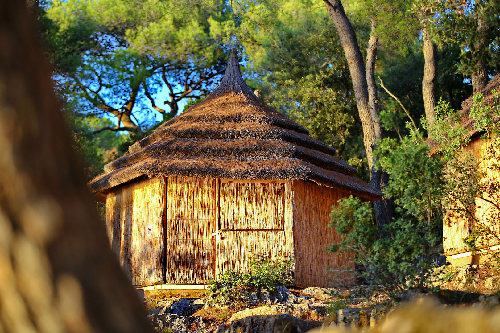 Bungalows Pine Beach Pakostane