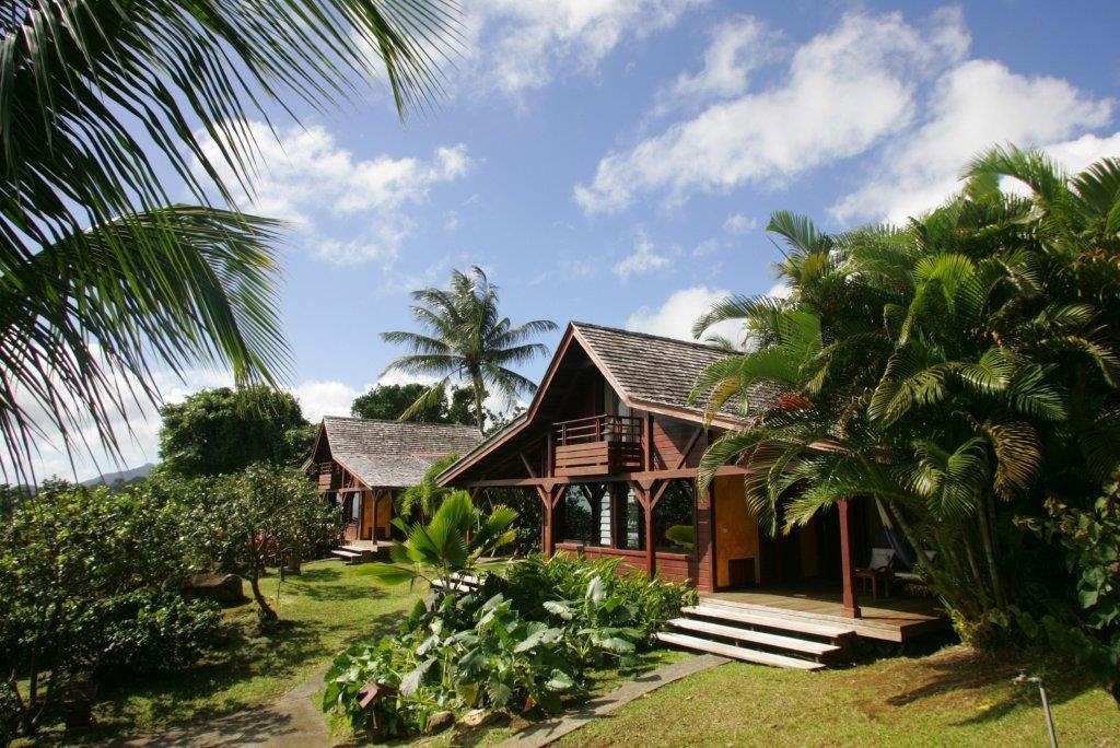 Le Jardin Malanga