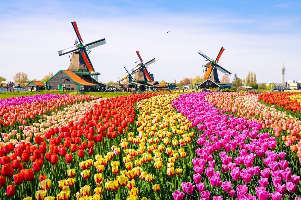 Květinový park Keukenhof s návštěvou Amsterdamu