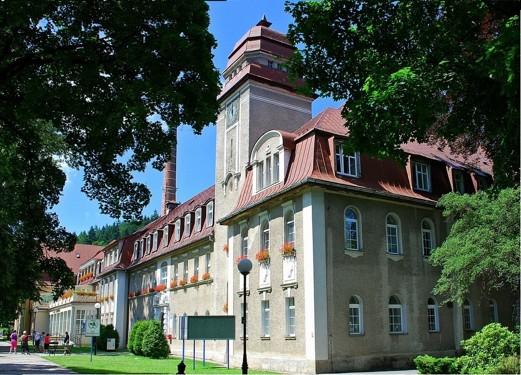 Jan Kazimierz: Lázeňský pobyt