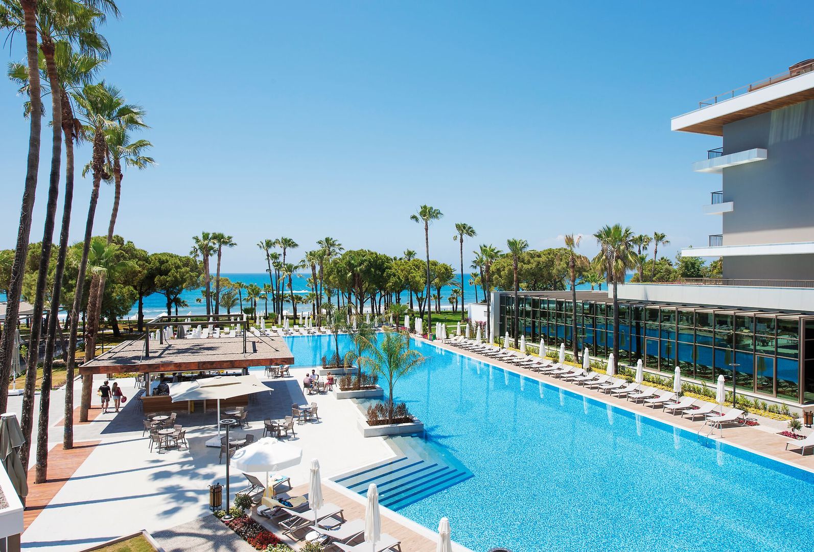 Acanthus Cennet Barut Collection