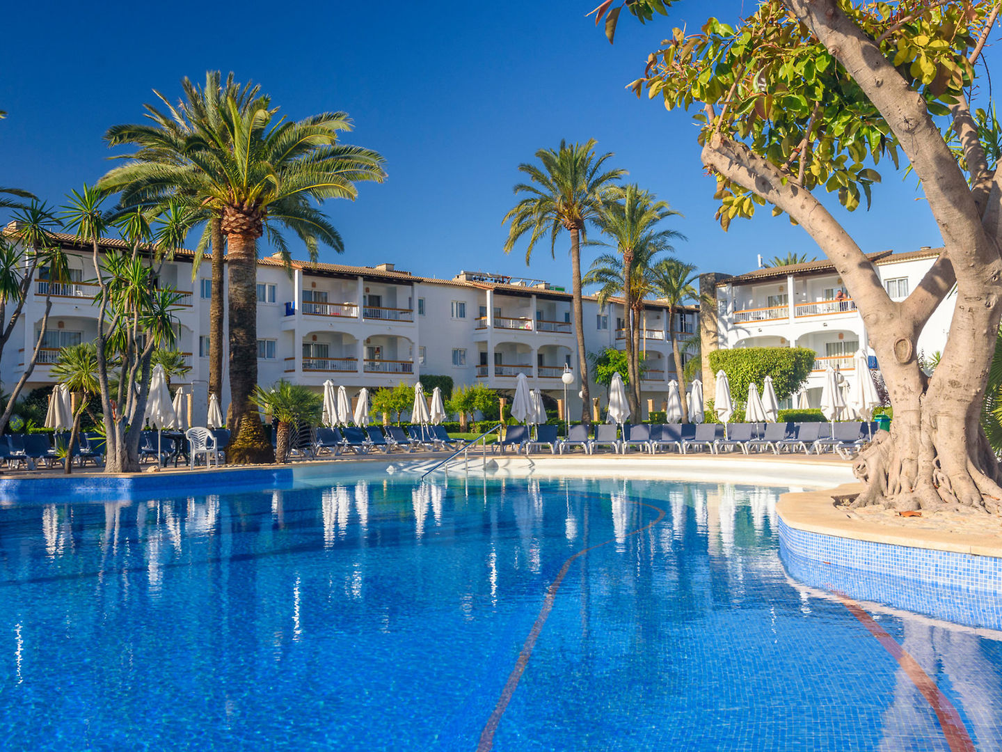 Alcudia Garden