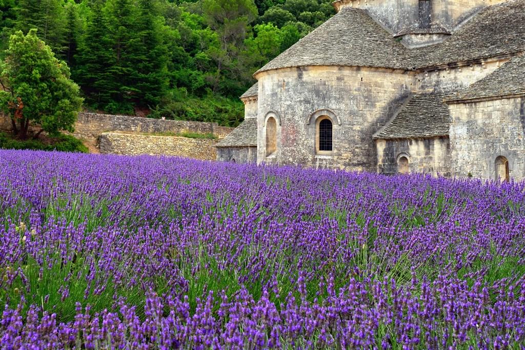 Provence - Vůně Levandule