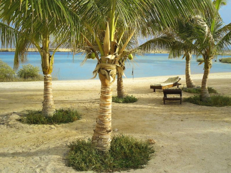 Mangrove Bay Resort