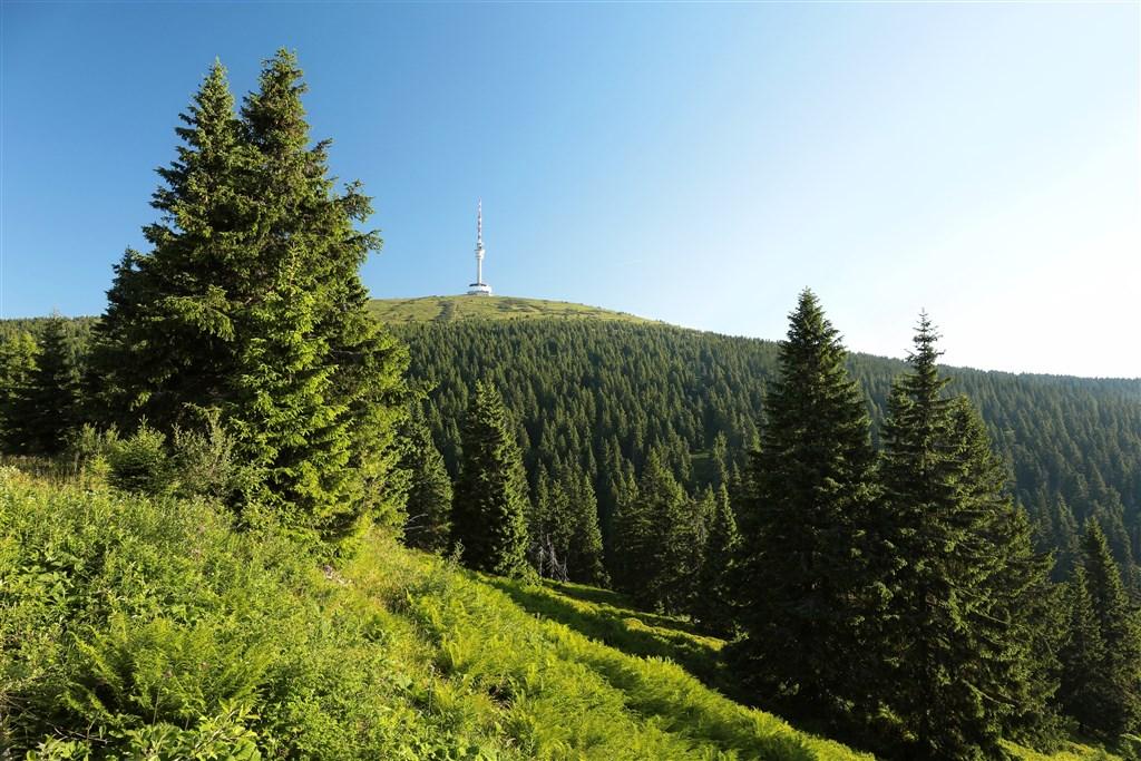 Nízký A Hrubý Jeseník - Bílá Opava