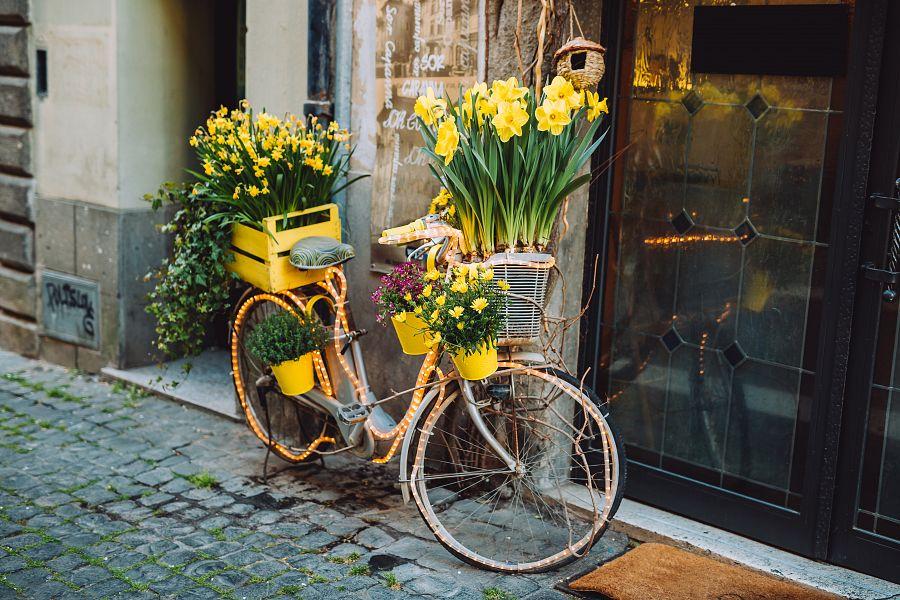 Dámská jízda v Amsterdamu + KVĚTINOVÝ WORKSHOP + RETRO BIKE TOUR (letecky z Prah