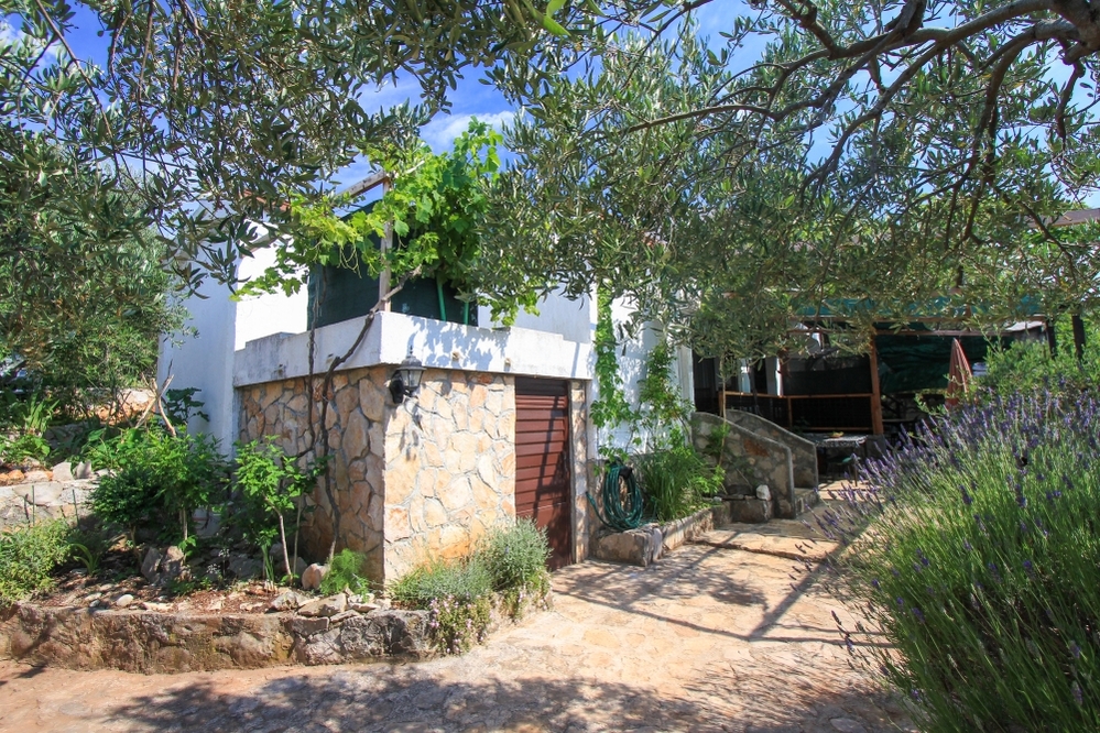 Apartmán Lavender
