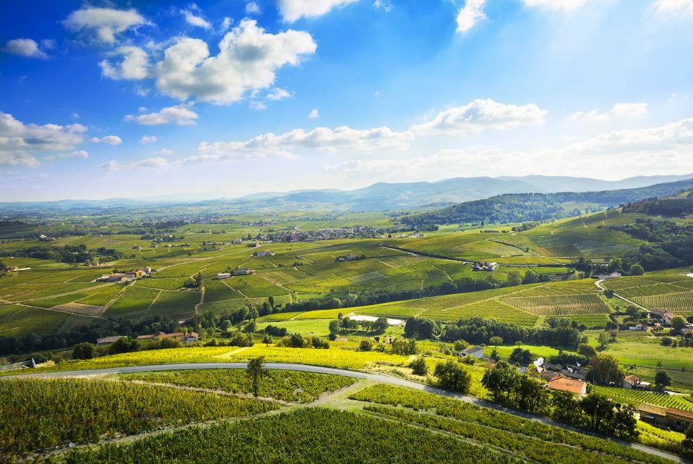Beaujolais a Burgundsko, kláštery a slavnost vína