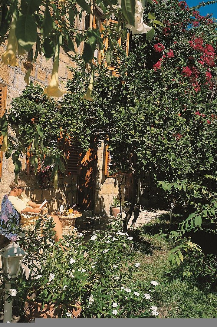 Begonville Pension