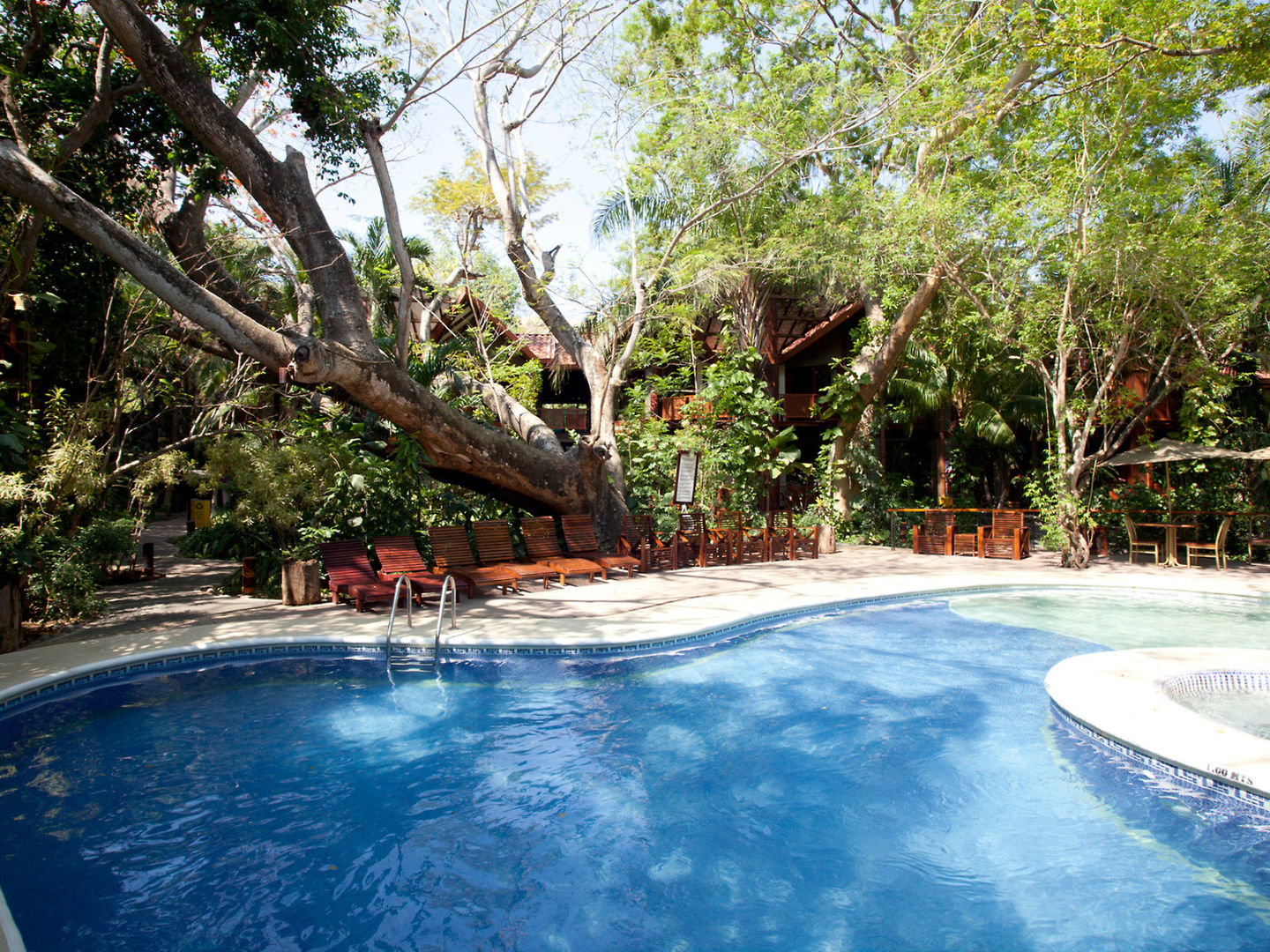 Bosque del Mar