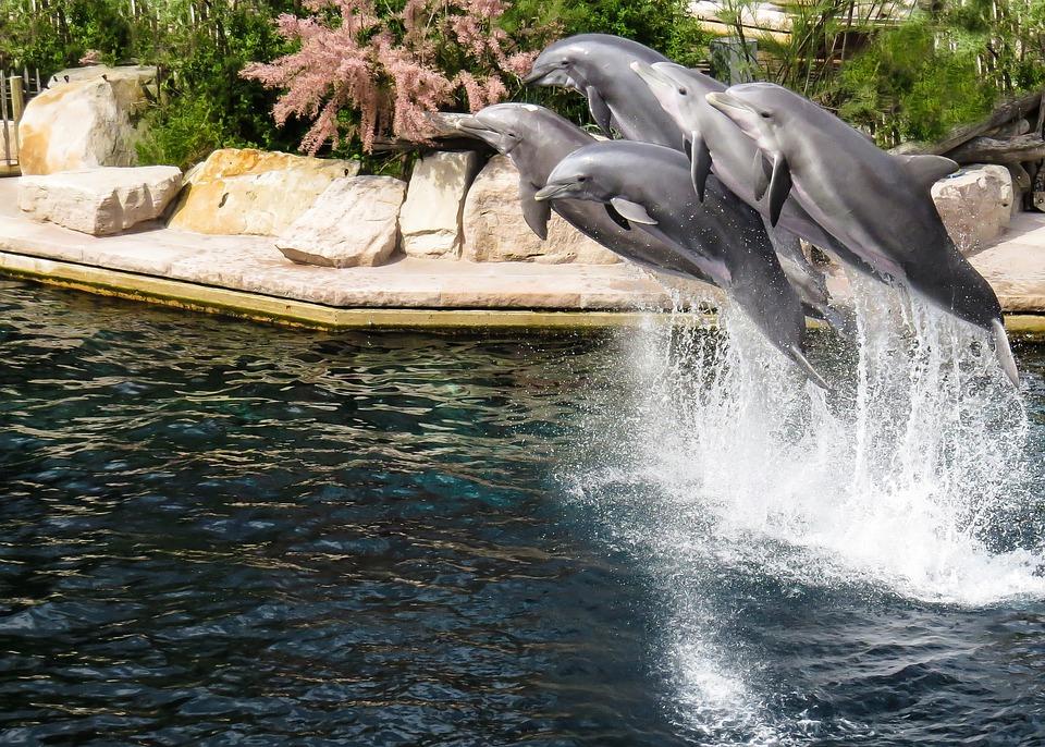 Německý LEGOLAND® a norimberská ZOO s delfináriem