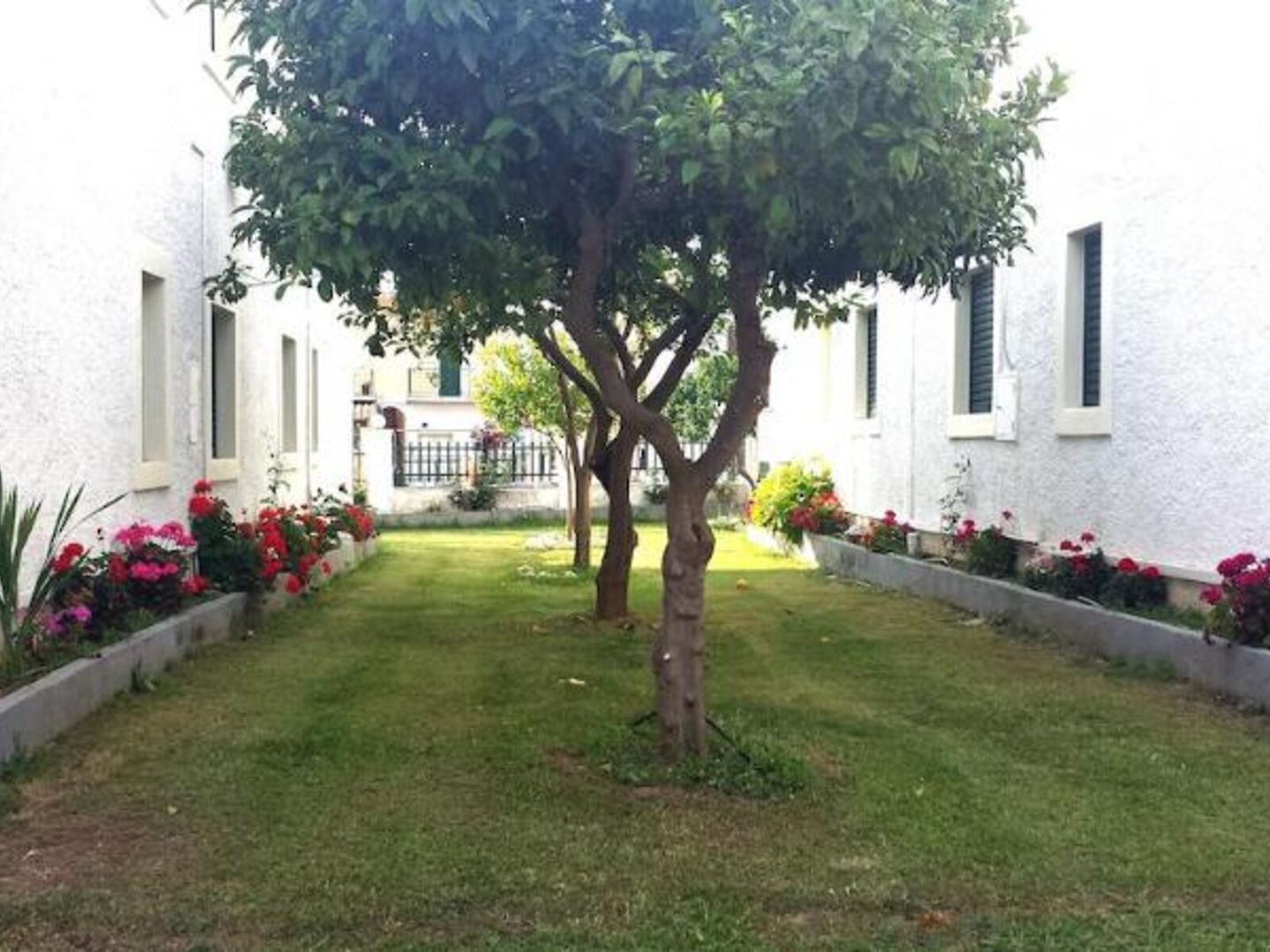 Corifo Village