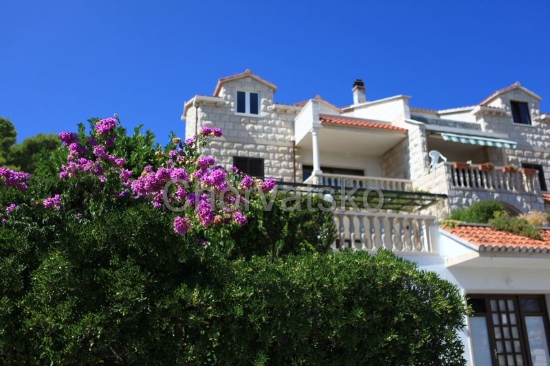 Apartmán Mandarina