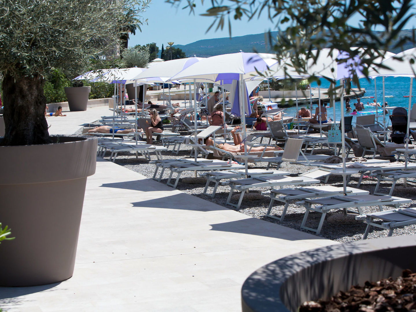 Hotel Palma