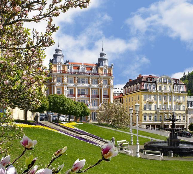 Danubius Health Spa Resort Hvězda
