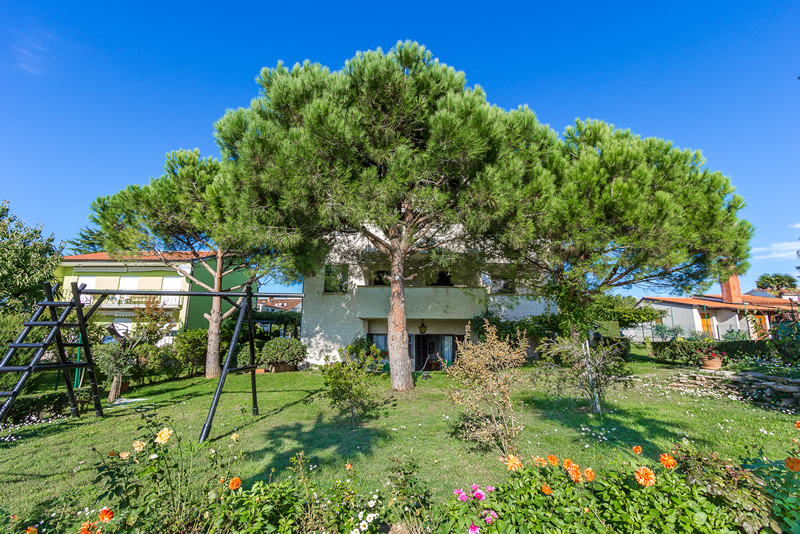 Apartmán 1318-281