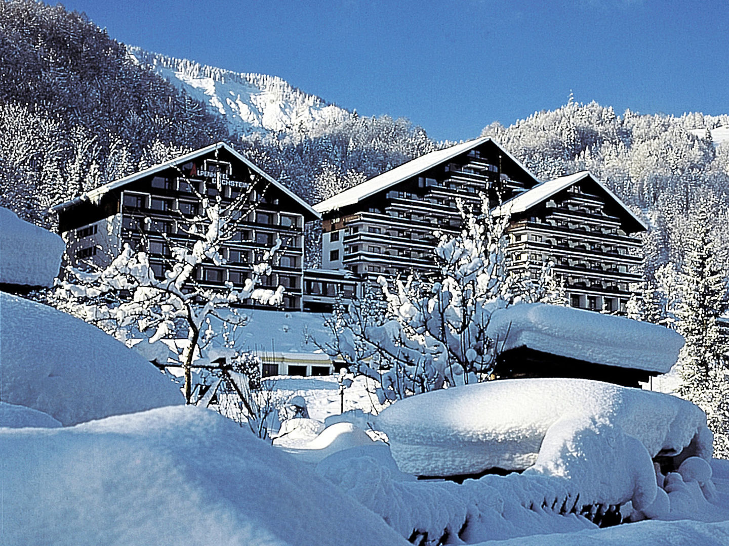 Alpenhotel Dachstein