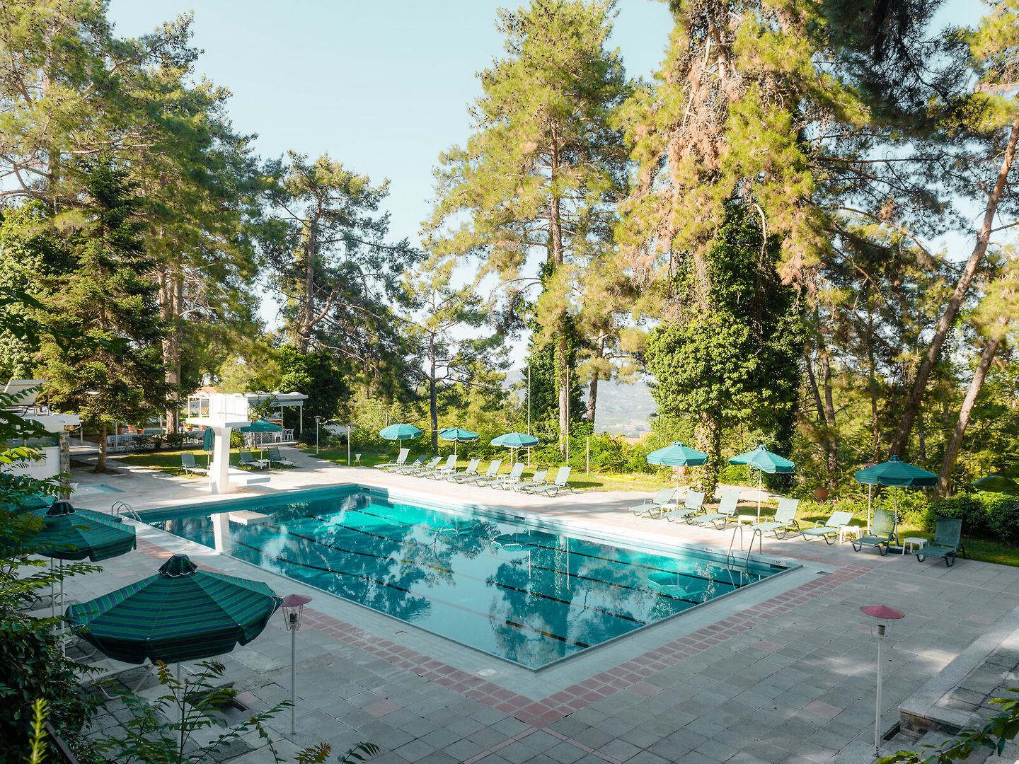 Forest Park Hotel 