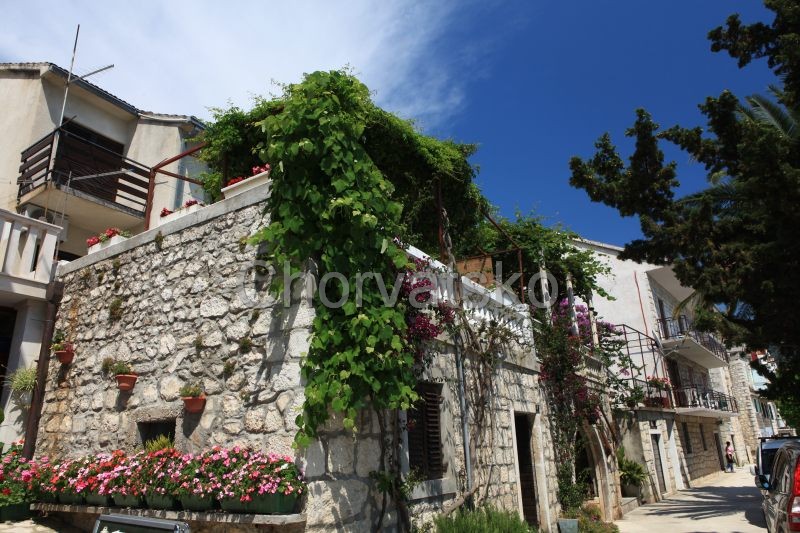Apartmán Renata