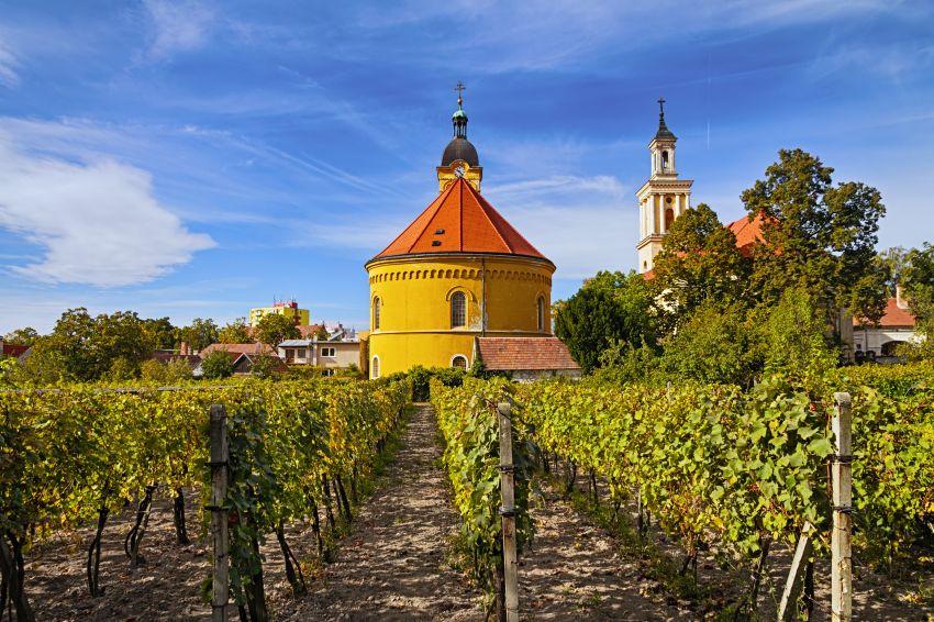 Vinařské Slovensko