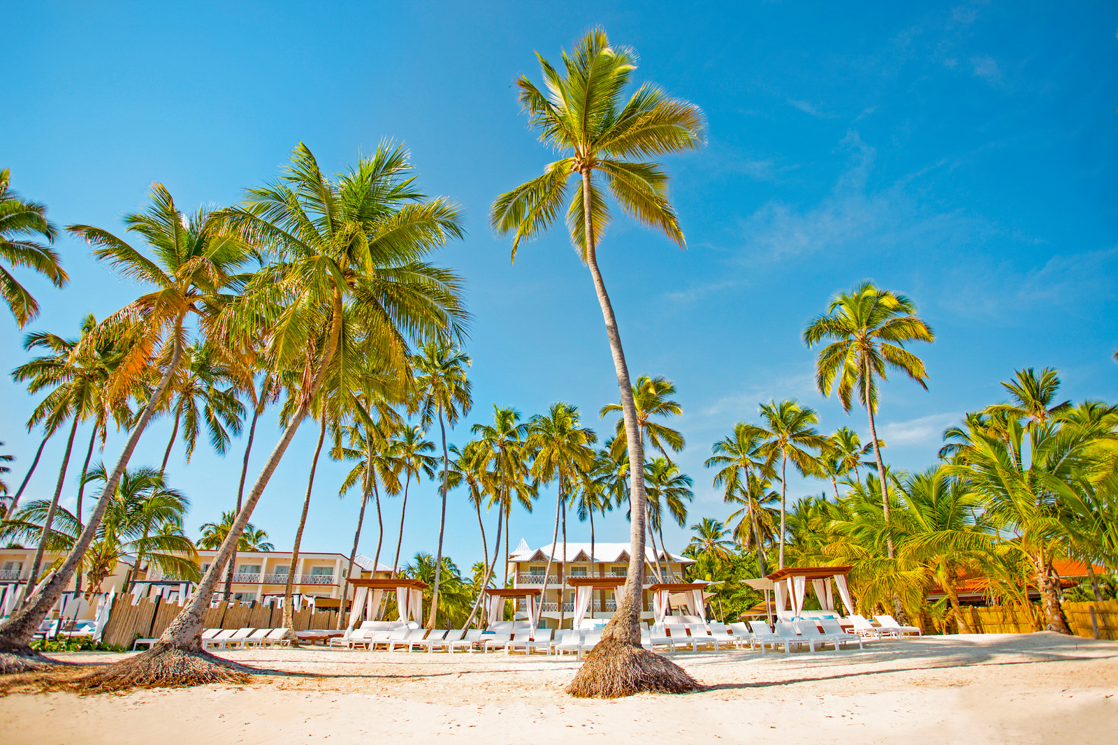 Be Live Collection Punta Cana – fotka 2