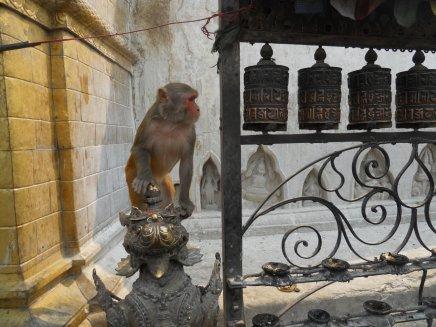 Kathmandu, Pokhara a štíty Himalájí