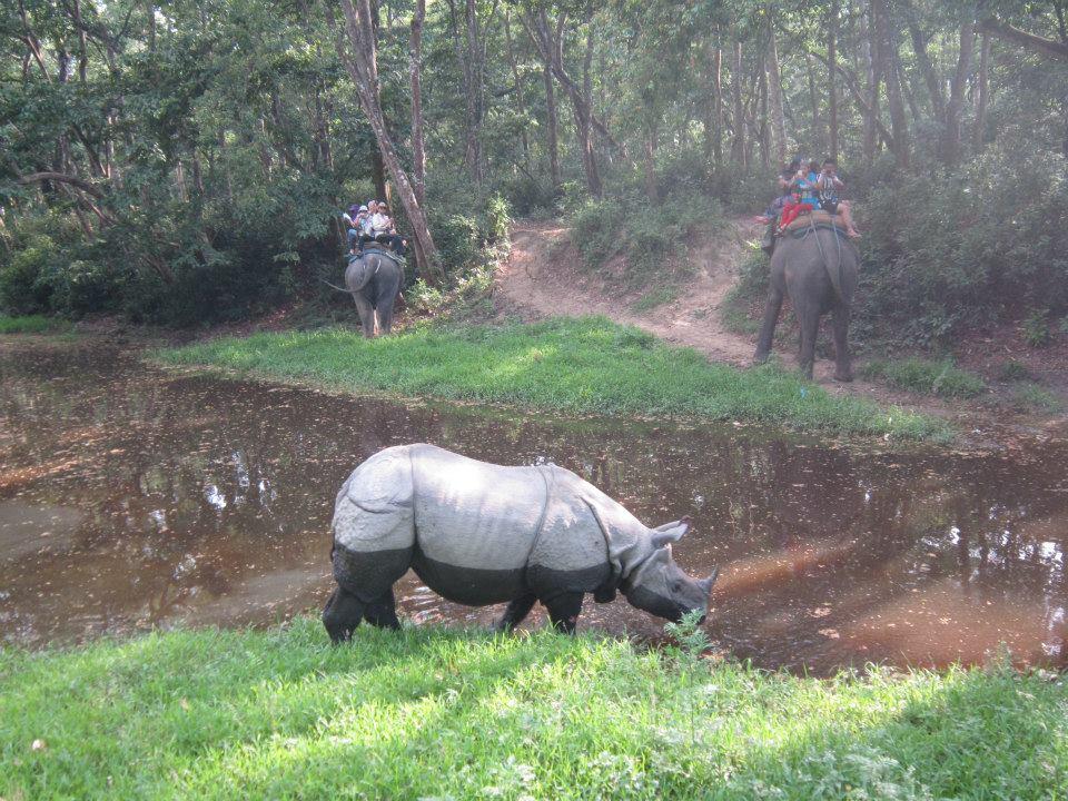 Nepál - královská města, Himaláje, safari v Chitwanu